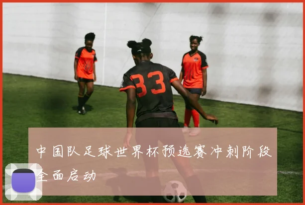 中国队足球世界杯预选赛冲刺阶段全面启动