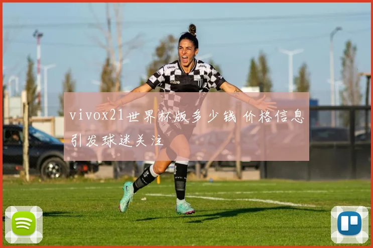 vivox21世界杯版多少钱 价格信息引发球迷关注