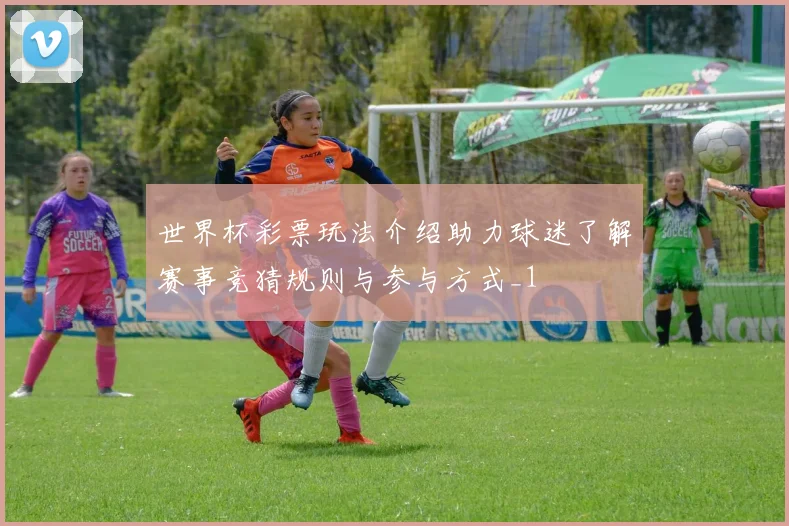 世界杯彩票玩法介绍助力球迷了解赛事竞猜规则与参与方式_1
