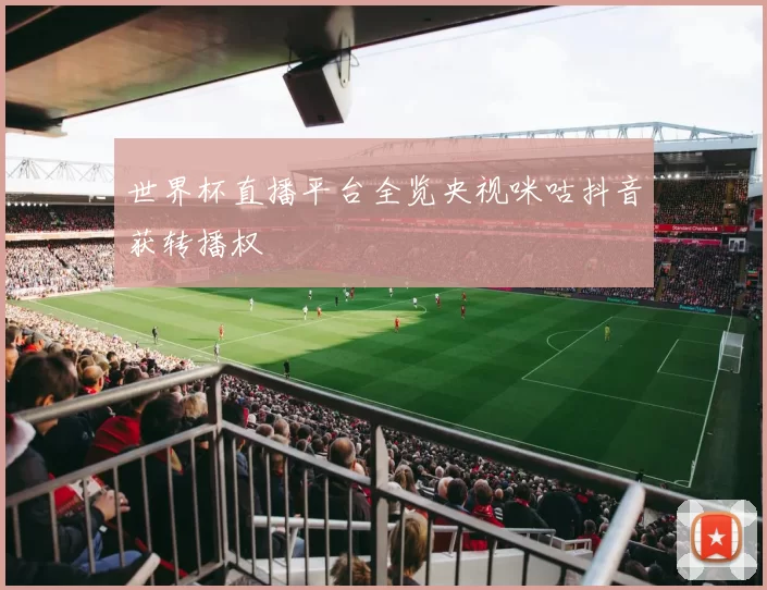 世界杯直播平台全览央视咪咕抖音获转播权