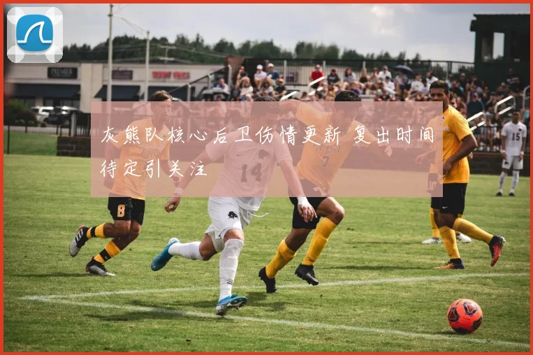 灰熊队核心后卫伤情更新 复出时间待定引关注