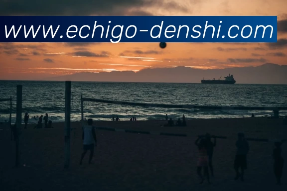 App Interface Preview